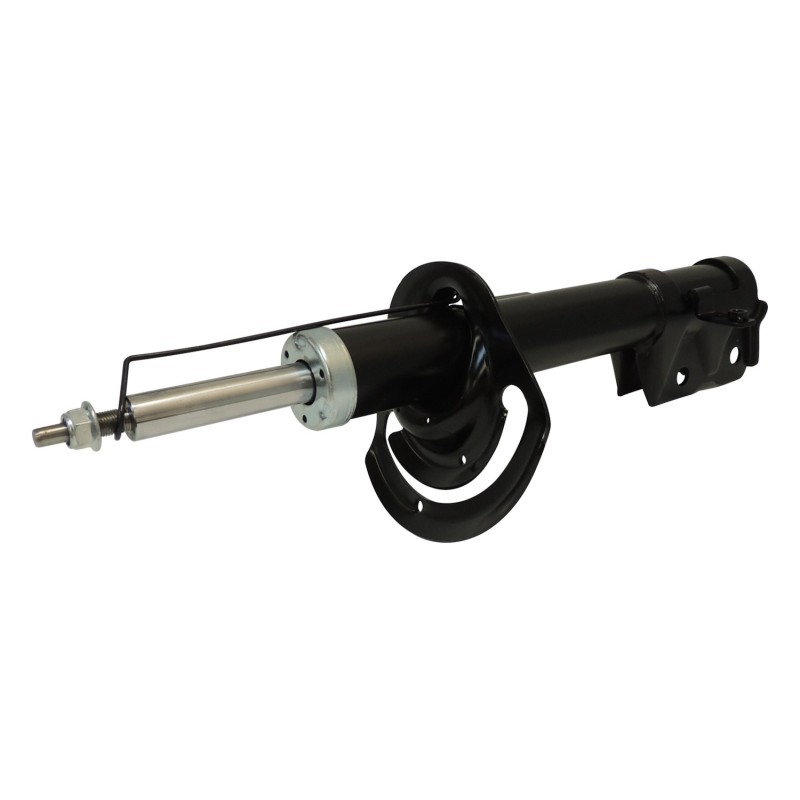 Se pavaner 5168166AB