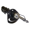 Se pavaner 5105174AG