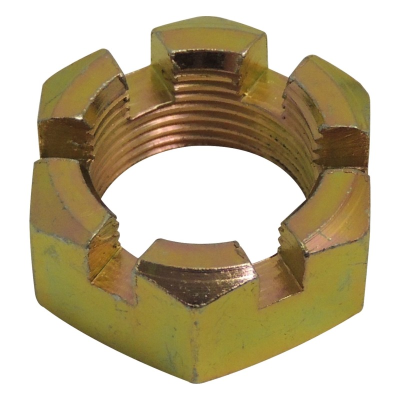 Château Noix J8130364