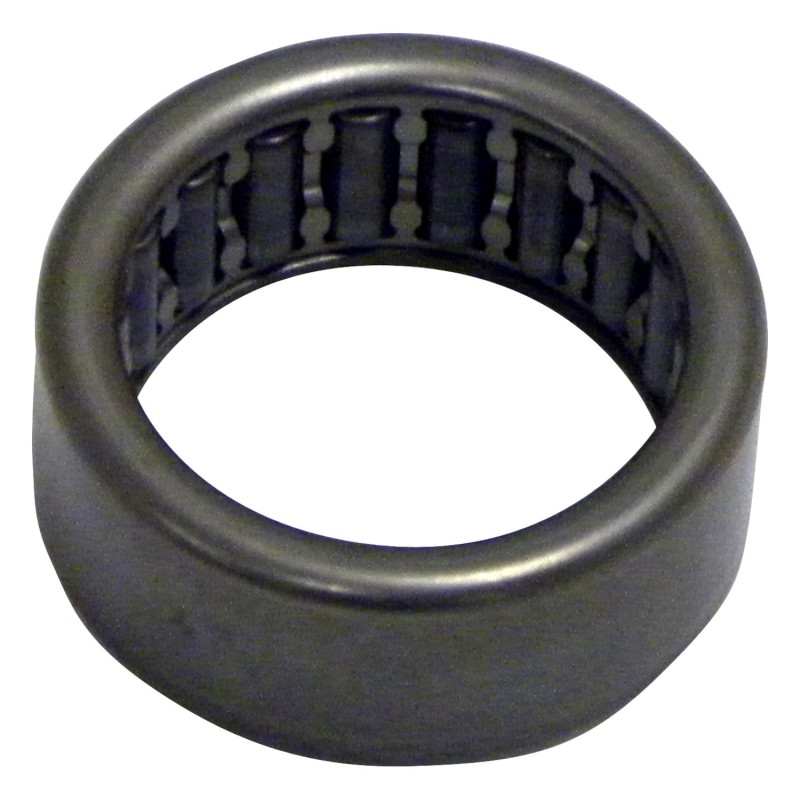 Input Shaft Bearing 4338913