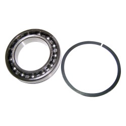 Input Shaft Bearing 4746155