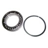 Input Shaft Bearing 4746155