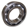Input Shaft Bearing J8131682