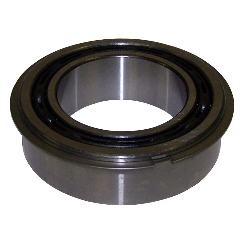 Input Shaft Bearing 4338891