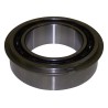 Input Shaft Bearing 4338891