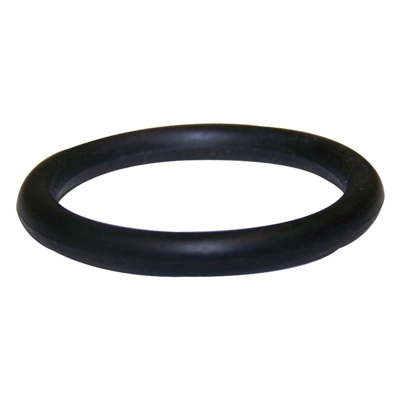 Shift Lever O-Ring 4167963