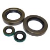 Transfer Case Seal Kit A7445