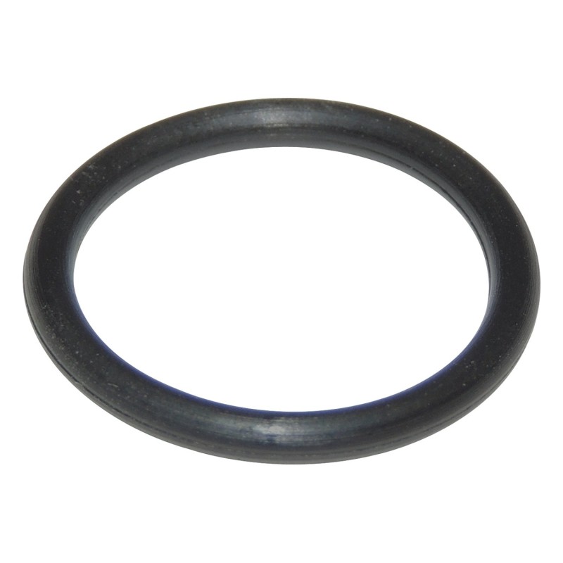 Transfer Case Switch Seal 4338956