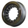 Cluster Gear Bearing 83500580