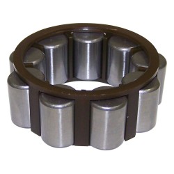 Input Shaft Bearing 4741878