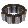 Input Shaft Bearing 4741878