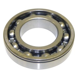 Input Shaft Bearing J8132426