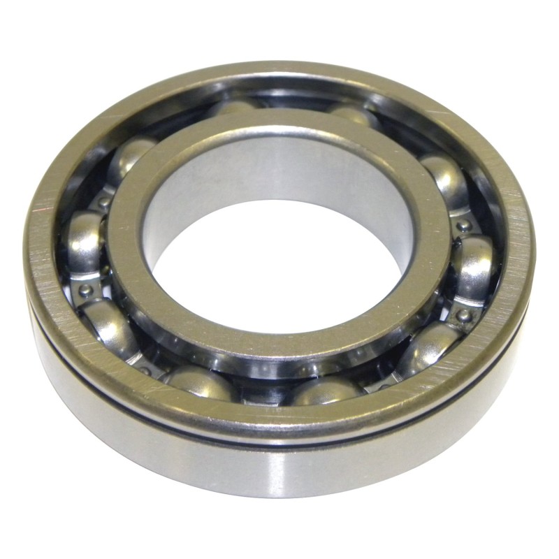 Input Shaft Bearing J8132426