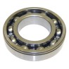 Input Shaft Bearing J8132426