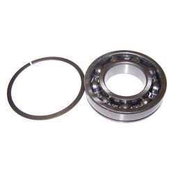 Input Shaft Bearing J8136643