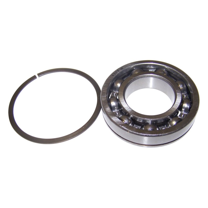Input Shaft Bearing J8136643