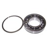 Input Shaft Bearing J8136643