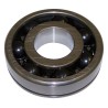 Input Shaft Bearing 83500643