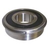 Input Shaft Bearing 4874174AB