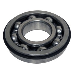 Input Shaft Bearing J4488141