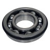 Input Shaft Bearing J4488141