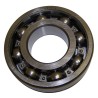 Main Shaft Bearing J8136623