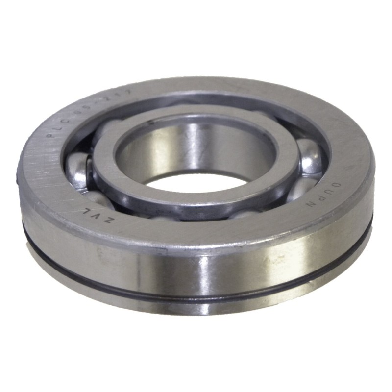 Main Shaft Bearing J3184013