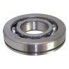 Main Shaft Bearing J3184013