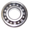 Main Shaft Bearing J8136619