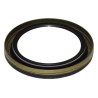 Oil Pump Seal 52108424AA