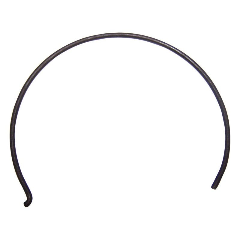 Synchronizer Spring J8134021