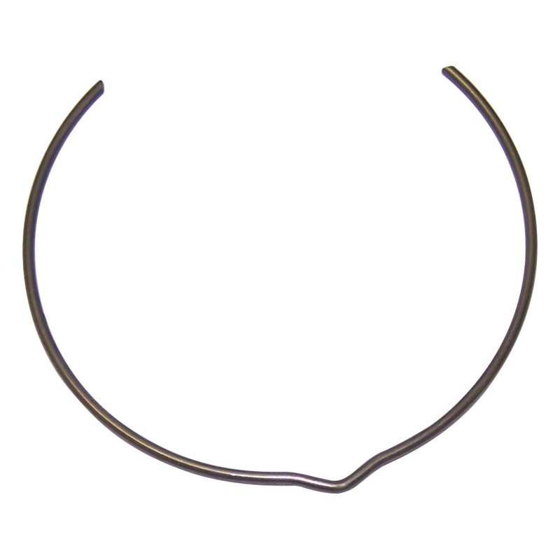 Synchronizer Spring J8124896