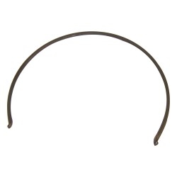 Synchronizer Spring 83506255