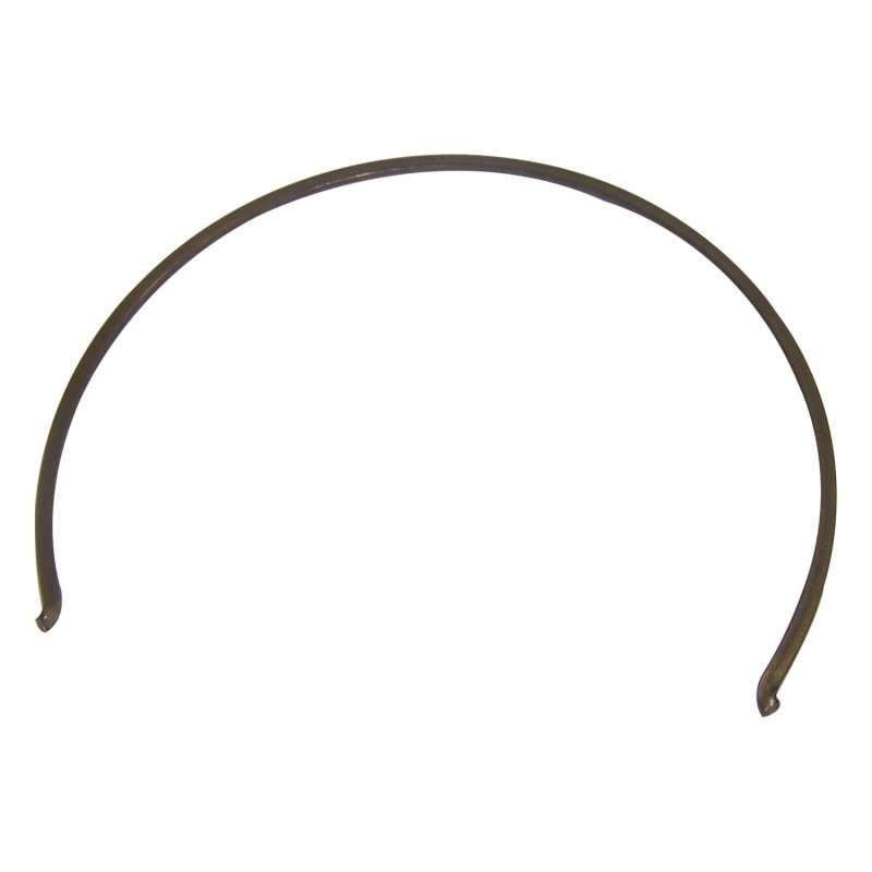 Synchronizer Spring 83506255