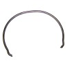 Synchronizer Spring J8124905