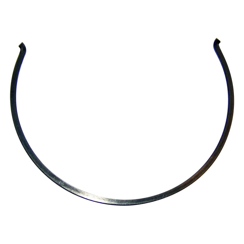 Synchronizer Spring 83506254