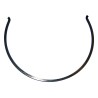 Synchronizer Spring 83506254