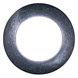 Thrust Bearing Washer J8134017