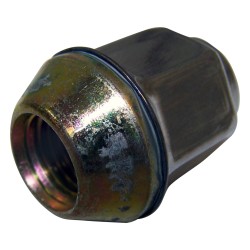 Lug Nut 6502738