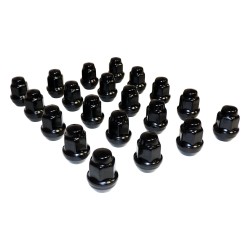 Lug Nut Kit 4006956BLKK