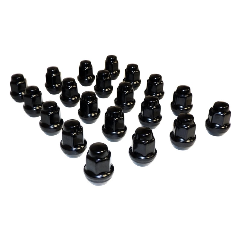 Lug Nut Kit 4006956BLKK