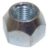 Noix J4004837
