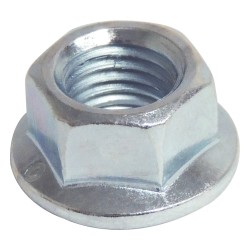 Noix 6503335