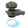 WATER PUMP WITH PLUGS - 17MM