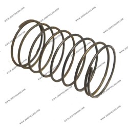 SPRING, OIL SEAL GASKET RETAINER