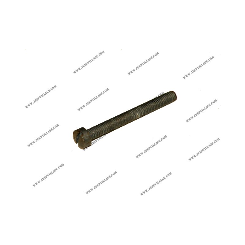 FUEL PUMP SCREW 6 VALVES - LONG