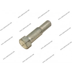 6 VALVE FUEL PUMP FIXING SCREW