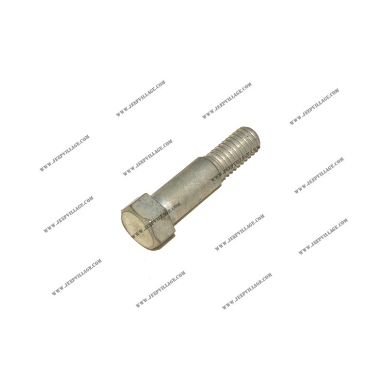 6 VALVE FUEL PUMP FIXING SCREW