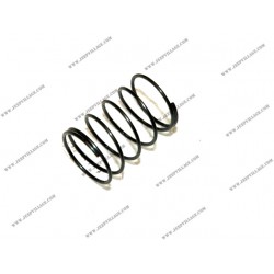 2-VALVE FUEL PUMP RETAINER SPRING