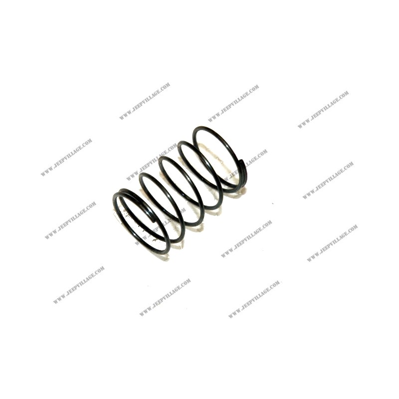 2-VALVE FUEL PUMP RETAINER SPRING